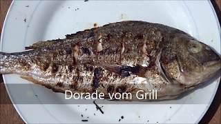 Dorade vom Grill  Fisch vorbereiten und grillen [upl. by Kumar]