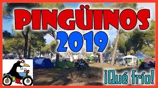 Pingüinos 2019 MOTOS DIVERSIÓN Y MUCHO FRÍO [upl. by Malha]