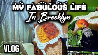 MY FABULOUS LIFE IN BK NY What I did on Weds  Homegoods  food  Bathroom  phoenix [upl. by Vandervelde]