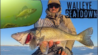 Ice Fishing INSANE School of Walleyes on Early Ice [upl. by Brott]