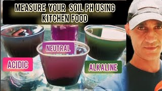 Make your own DIY Garden Soil PH Indicator [upl. by Aynotahs]