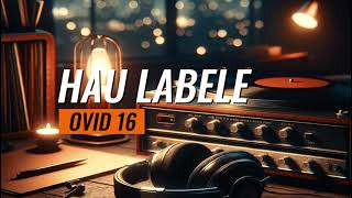 Ovid 16  Hau Labele Lirik Musik Video [upl. by Lissi]