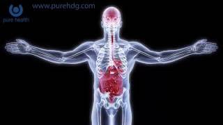 Molecular Hydrogen and Gut Health [upl. by Ciryl]