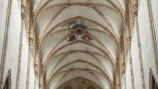 Evangelische Domkirche  Ulm Deutschland  Orgel [upl. by Yrrat]