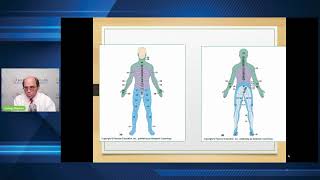 What is Cauda Equina Syndrome The basics Dr James Wymer MD Chief Medical Officer CEF Inc [upl. by Reeve216]