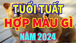 Tuổi Tuất hợp màu gì năm 2024 mang lại may mắn tài lộc mauhoptuoituat tuoituat2024 tuvituoituat [upl. by Neema]