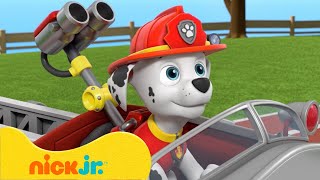 Щенячий патруль  Лучшие моменты 8 сезона quotЩенячий патрульquot 🐶 Часть 2  Nick Jr Cyrillic [upl. by Broida477]