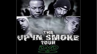 The Up In Smoke Tour Live Reaction [upl. by Wren68]