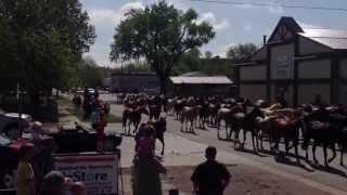 Eatons ranch horse drive through Sheridan WY [upl. by Lenahtan705]