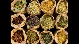 The Secrets Of Herbal Medicine  Best Documentary Of All Time [upl. by Priscilla]