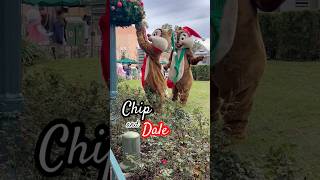 Christmas Fun at Disney’s Hollywood Studios shorts youtubeshorts disneyshorts hollywoodstudios [upl. by Xylina486]