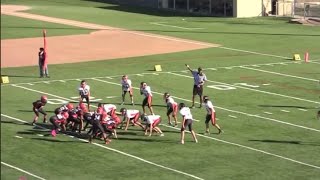 Doublewing offense vs the 53 offense coaching doublewing youthfootball football defense [upl. by Hephzipah]