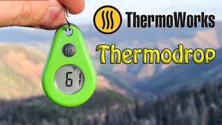 Thermoworks Thermodrop Thermometer [upl. by Adnoek]