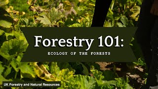 Forestry 101 Ecology of the Forest [upl. by Ayanahs]