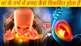 🫀गर्भ में बच्चे कैसे बनते हैं🧑‍🦱गर्भ में आत्मा कैसे प्रवेश करती है❤️garv me atma kaise Pravesh karti [upl. by Gnanmas]