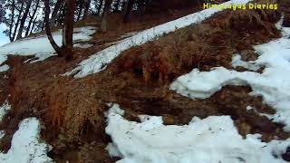 Jalori Pass  Thirthan Valley Kullu  Himachal Pradesh [upl. by Havot]