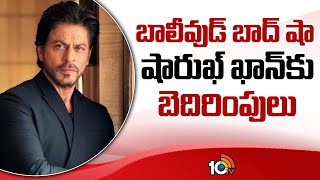 బాలీవుడ్ బాద్ షా షారుఖ్ ఖాన్‌కు బెదిరింపులు  Shah Rukh Khan Gets Threat Call  10TV News [upl. by Griz]