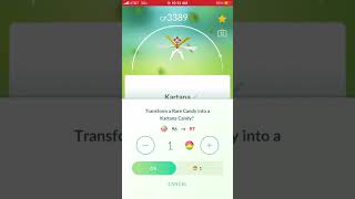 POWERING UP MY SECOND KATRANA TO LVL 40 IN POKEMON GO [upl. by Lilly]