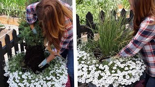 How to Replace a Dying Centerpiece in a Container 🌿  Garden Answer [upl. by Sherm]