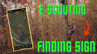 Public Land Hunting  Scouting for deer sign in NC [upl. by Tizes]