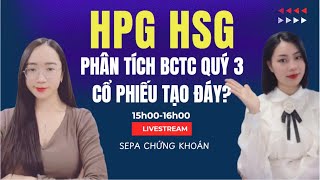 Tiến độ Dung Quất 2  Phân tích BCTC Q3 HPG HSG [upl. by Eitnom]