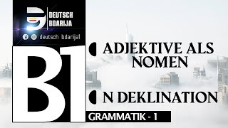 B1 GRAMMATIK  ADJEKTIVE ALS NOMEN  N DEKLINATION  LEKTION 1 [upl. by Ailimac]