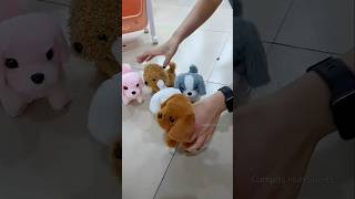 Funny Remote control Dog 😂 [upl. by Dalia]