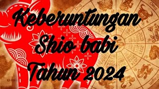 Keberuntungan Shio Babi Tahun 2024 [upl. by Skippy]