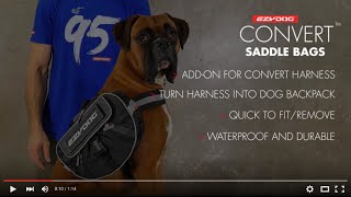 How to fit a Dog Pack  EzyDog Convert Saddle Bags [upl. by Akemit]