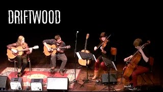 Driftwood with strings  CD release  Karlijn Langendijk amp Tim Urbanus [upl. by Chaves23]