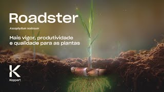 Roadster Ascophyllum nodosum Mais vigor produtividade e qualidade para as plantas [upl. by Shama]