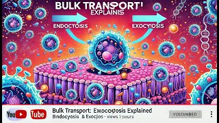 Bulk Transport Endocytosis amp Exocytosis Explained [upl. by Nomyt]