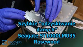 Szybkie „odzyskiwanie danych” Seagate ST1000LM035 Rosewood [upl. by Naol962]