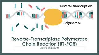 PCR Protocol  Part 2 [upl. by Alban]