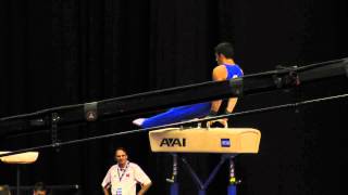 Alex Naddour  Pommel Horse  2012 Visa Championships  Sr Men  Day 2 [upl. by Bauer]