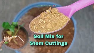 SOIL MIX for Stem CuttingsHenna cuttingpropagationTelugu gardener with arts chikkudusweet potato [upl. by Zysk8]