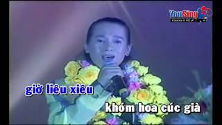 NỘI TÔI  Ngô Quốc Linh  karaoke [upl. by Lelah270]