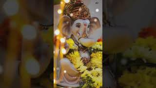 ganesh gananayaka song god 🙏🙏❤️🥰trendingshorts godganesh [upl. by Luapnhoj]