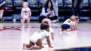 Babies Compete at 2024 Baby Crawl Race 👶🏎️ [upl. by Ylerebmik]