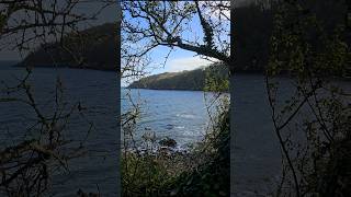 Breezy Path Waves Dancing Below the Coast nature relaxing waves sea devon autumn [upl. by Nerret]