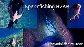 Podvodni ribolov HVAR  Spearfishing HVAR [upl. by Yetsirhc]