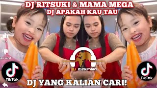 DJ RITSUKI amp MAMA MEGA  DJ APAKAH KAU TAHU BAHWA [upl. by Euf93]