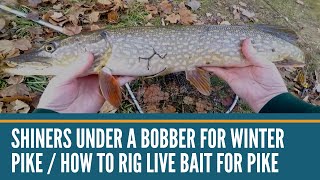 Shiners Under A Bobber for Winter Pike  How To Rig Live Bait For Pike  How To Rig Shiners For Pike [upl. by Josh]