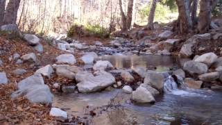 Camping San Gabriel Mountains Coldbrook Campground [upl. by Haimirej]