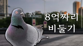 천원에 산 비둘기 알고보니 8억 [upl. by Auhsuoj215]