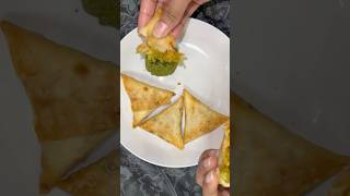 Samosa😋 food fastfood samosa foodlover delicious chatni recipe funny dailyfoodylife [upl. by Slrahc]