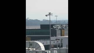 Virgin Airlines landing  Melbourne Airport 15424 [upl. by Airlie447]