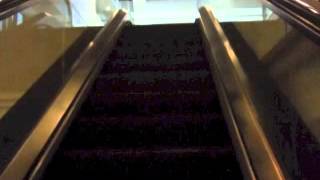 The Otis Escalators floors 2  4  Manchester Grand Hyatt San Diego CA [upl. by Aoniak783]