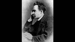 Vereinsamt  Friedrich Nietzsche  Hörbuch [upl. by Nref]