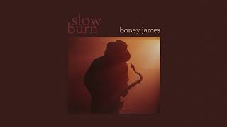 Boney James  Gonna Have a Good Time Official Audio [upl. by Pogue600]